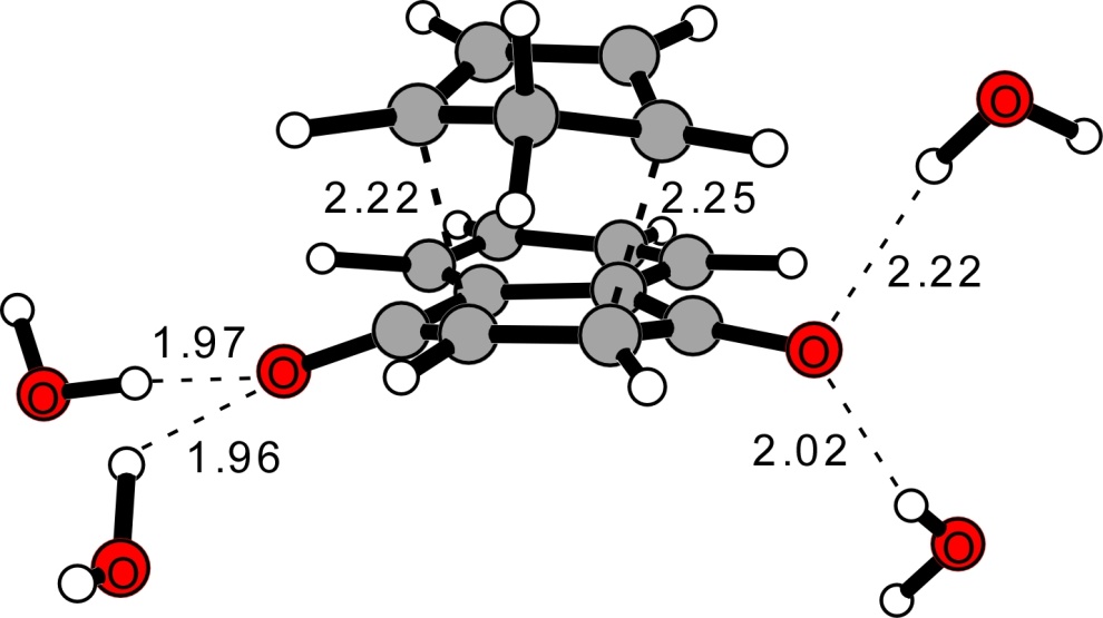 The transition state for the Diels-Alder reaction of naphthoquinone with cyclopentadiene in water, with forming carbon-carbon bonds of 2.22 and 2.25 angstroms and hydrogen bonds to four surrounding water molecules.
