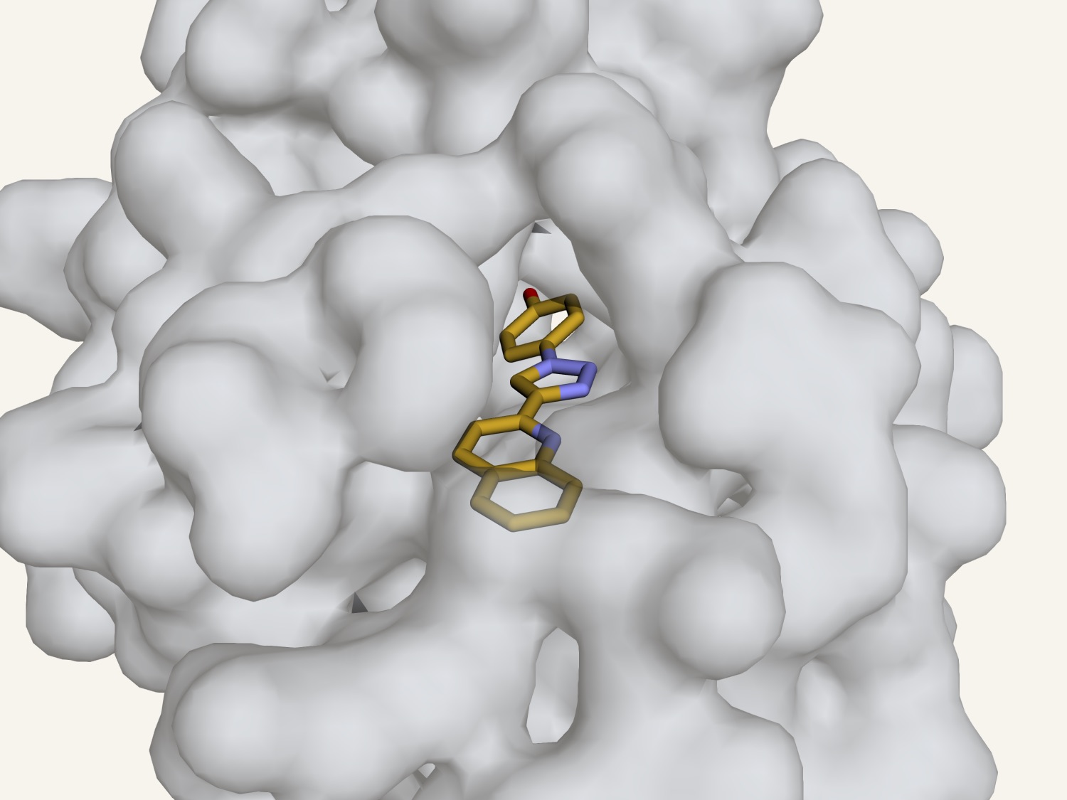A biaryltriazole inhibitor, shown as gold sticks, bound in the tautomerase active site of macrophage migration inhibitory factor, whose molecular surface encloses it.