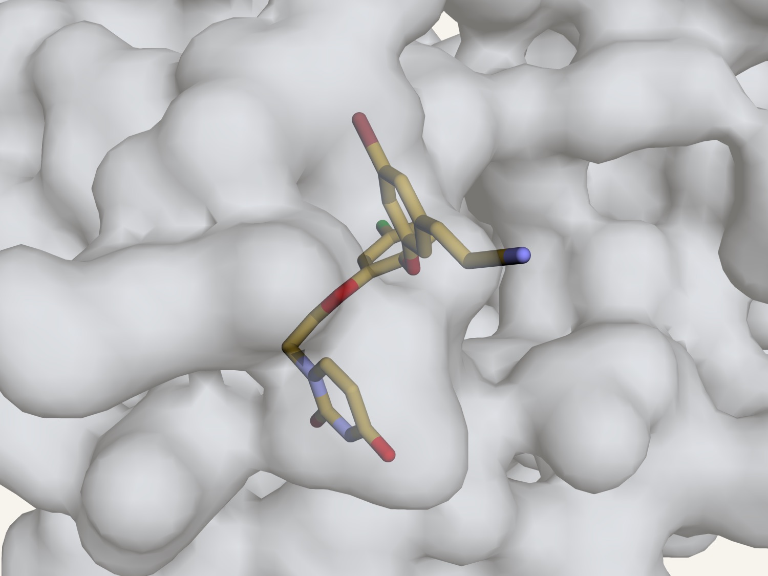 A catechol diether inhibitor, shown as gold sticks, bound in the non-nucleoside inhibitor pocket of HIV-1 reverse transcriptase, whose molecular surface encloses it.